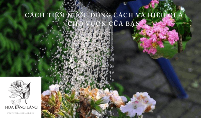 Cách Tưới Nước Đúng Cách và Hiệu Quả Cho Vườn Của Bạn