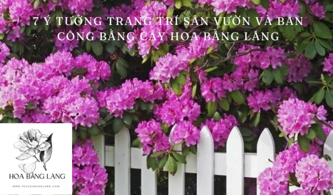 7 Ý Tưởng Trang Trí Sân Vườn và Ban Công bằng Cây Hoa Bằng Lăng